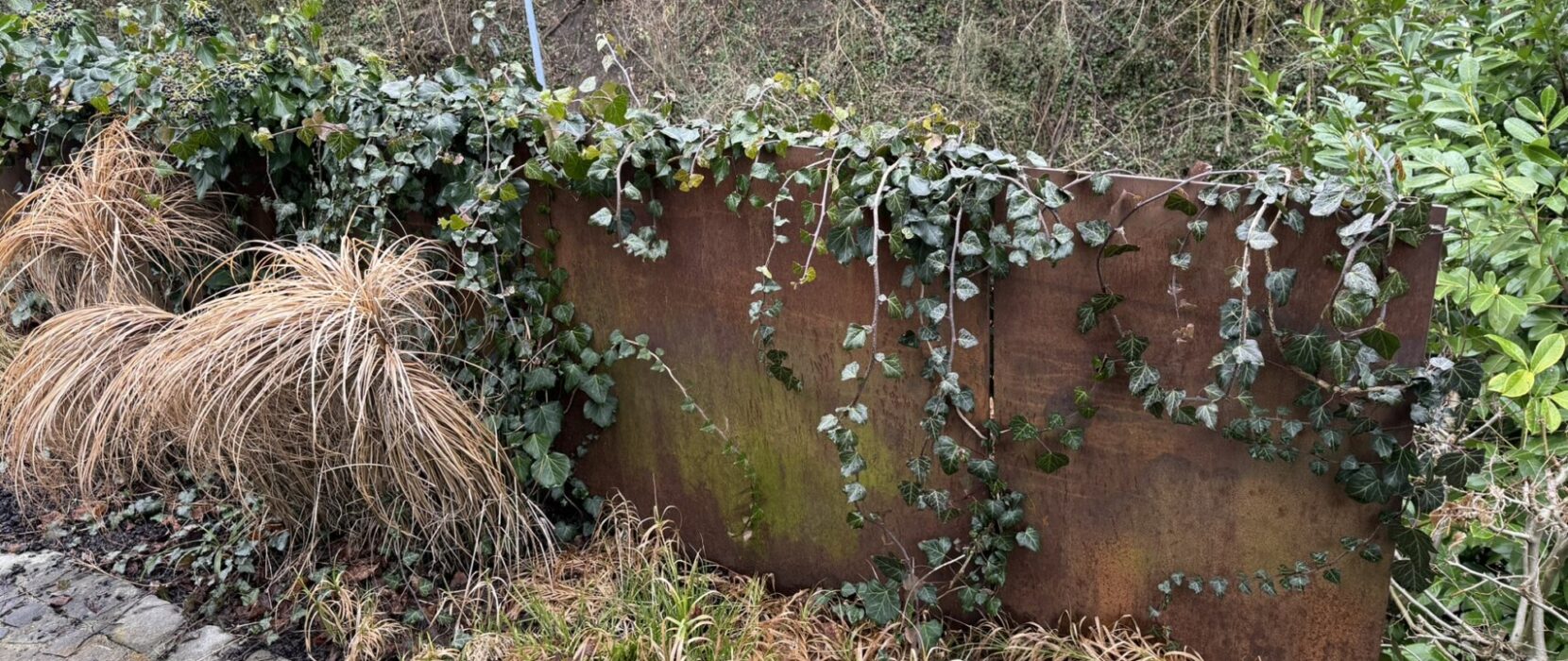 Gartenumgestaltung Reitnau vorher_2