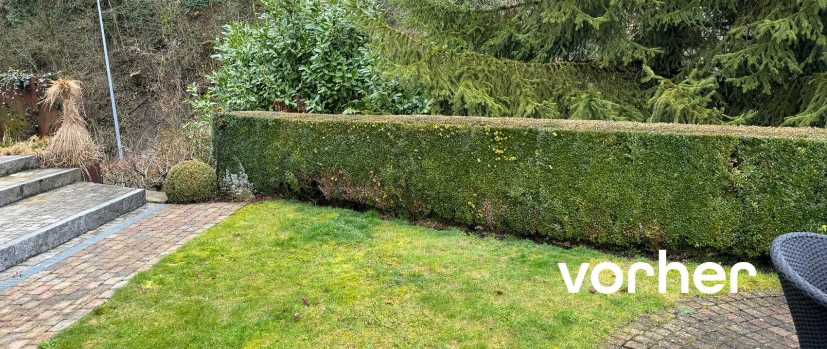 Gartenumgestaltung in Reitnau Hecke links vorher