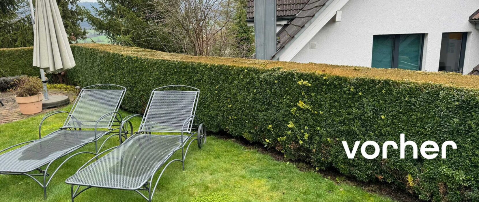 Gartenumgestaltung in Reitnau Hecke rechts vorher