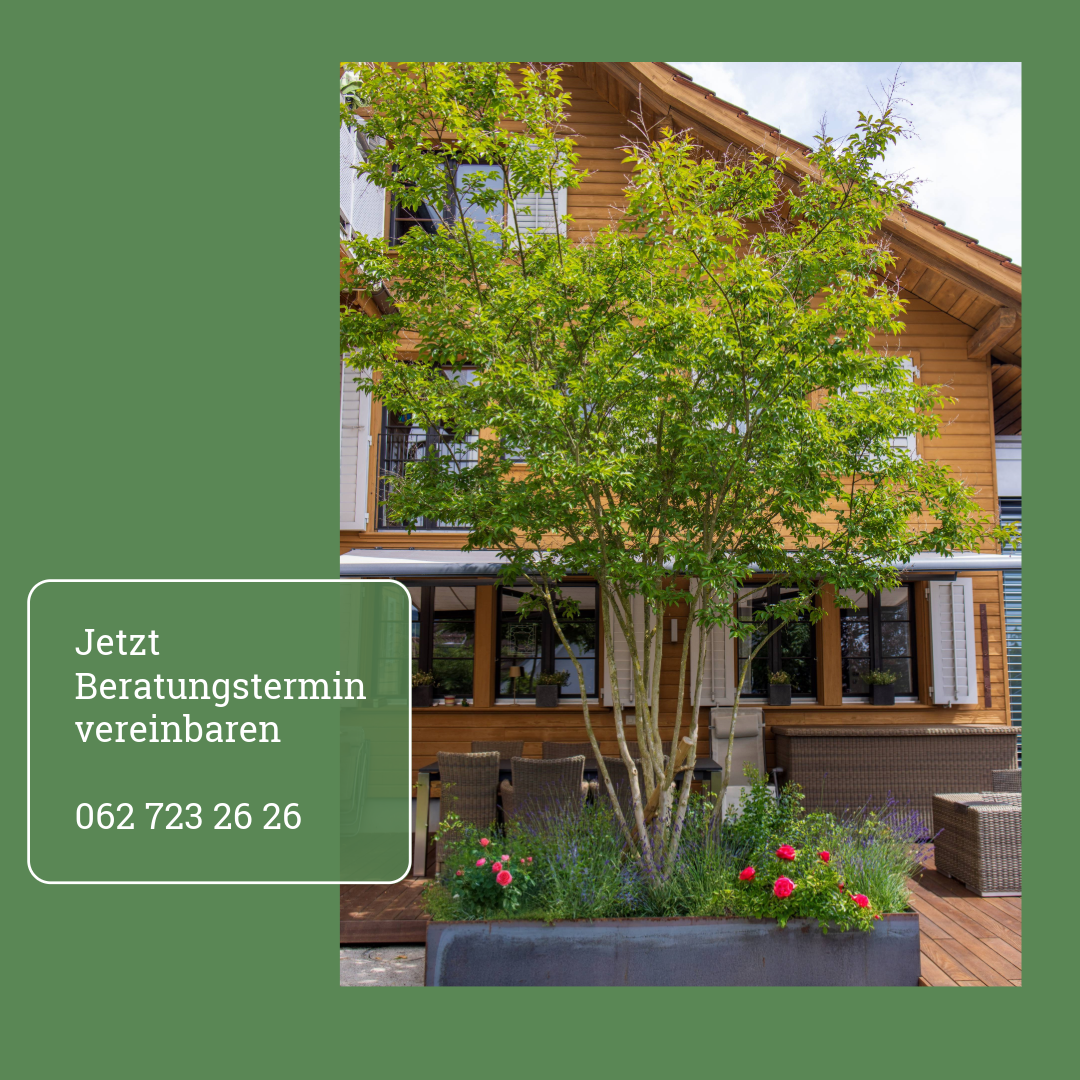 Bepflanzung Baum